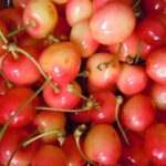 گیلاس